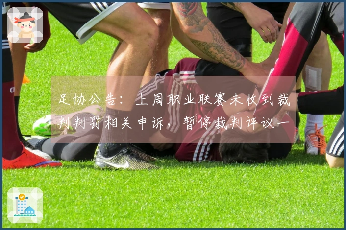足协公告：上周职业联赛未收到裁判判罚相关申诉，暂停裁判评议一周